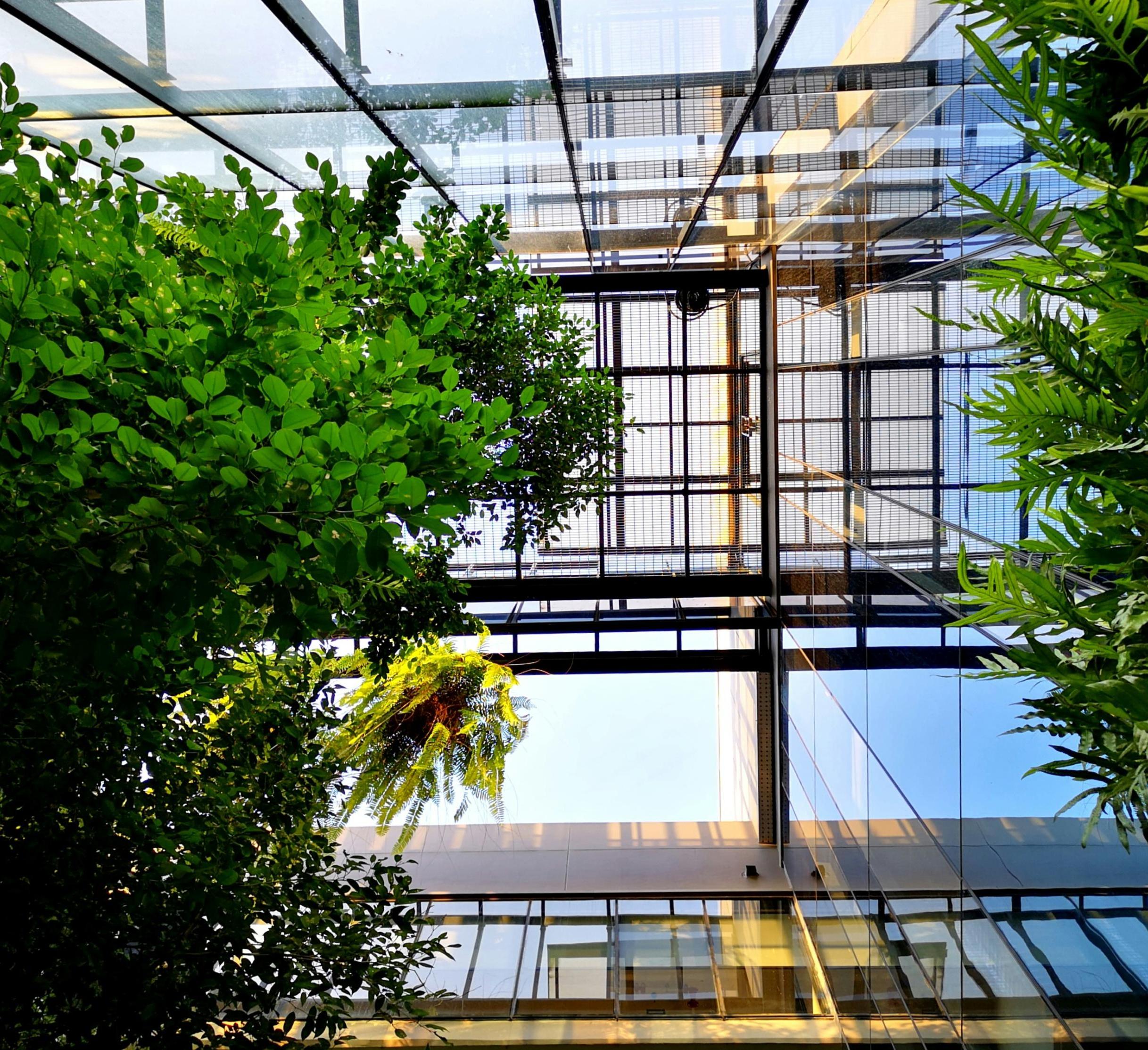 atrium of glass with plants and trees growing inside 
