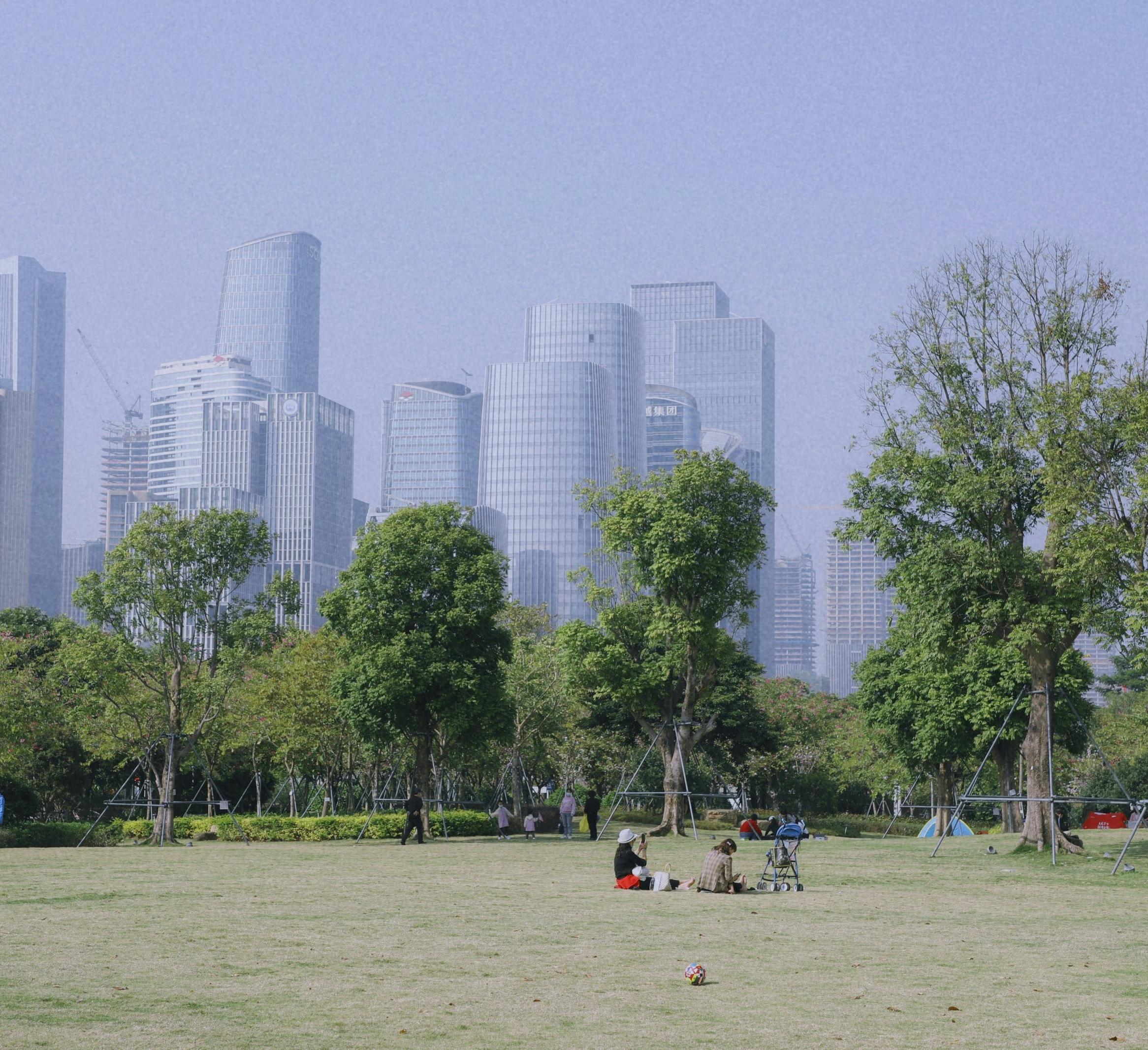 urban park with skyline in background 