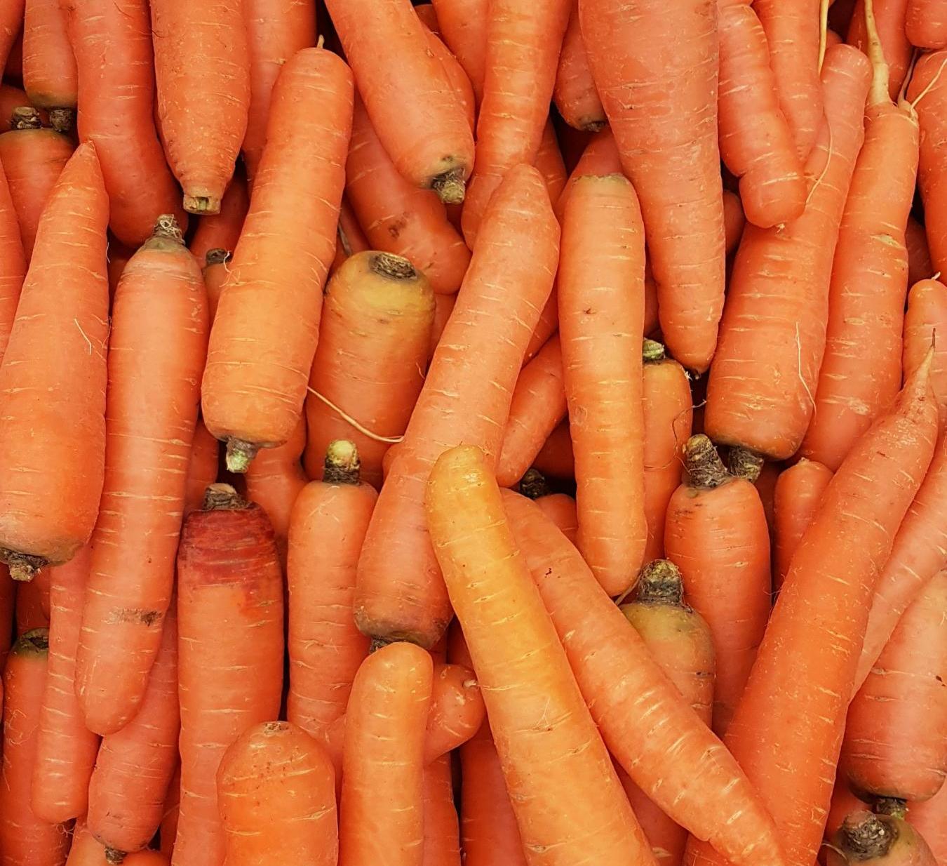 Carrots