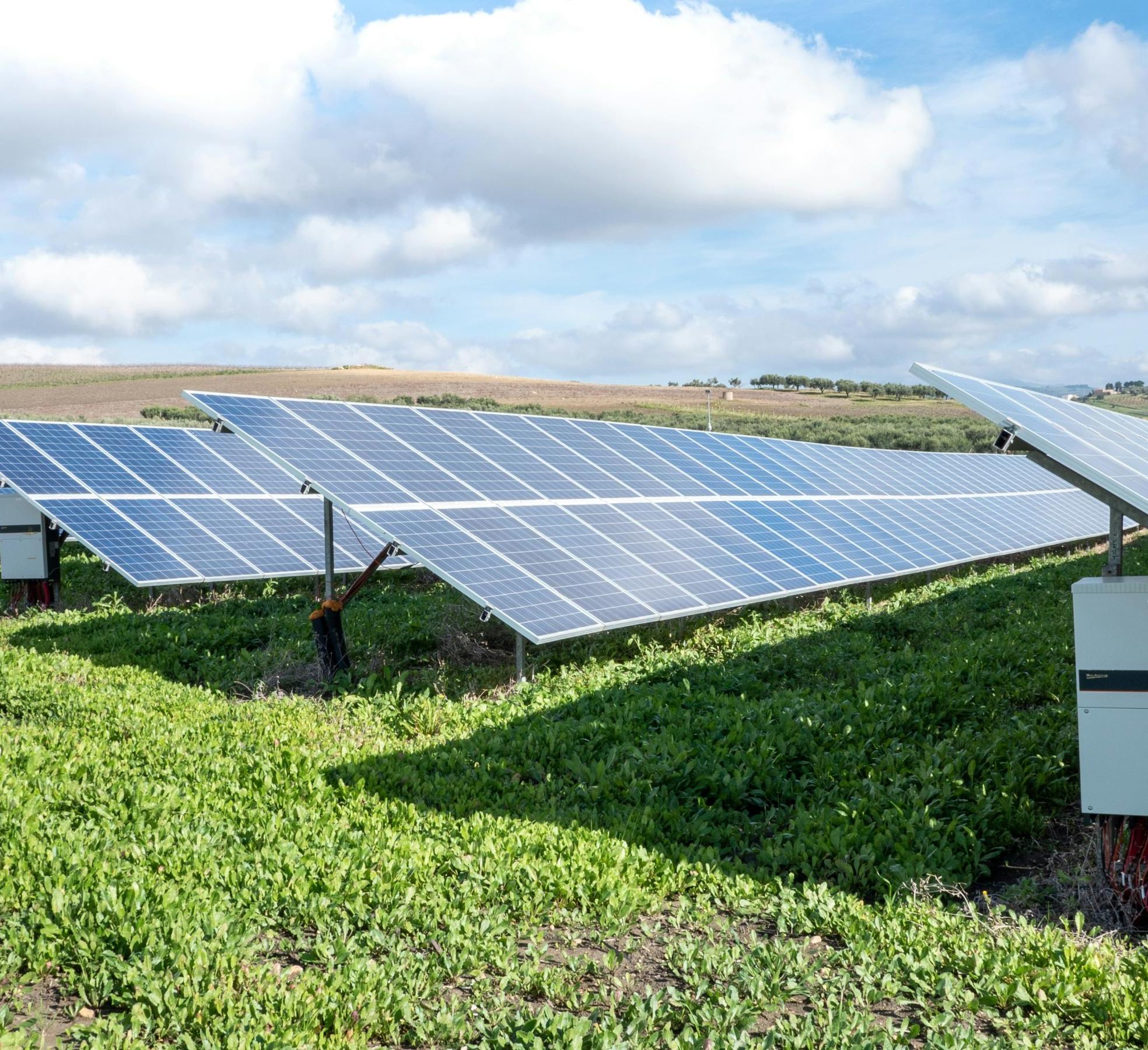 Commercial solar panels in a field 