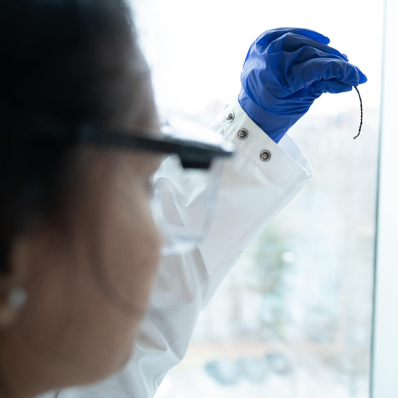 student holding a curved fiber up to a window