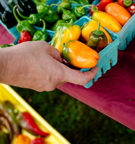 hand reaching and picking up a container of yellow peppers from a farmers market table