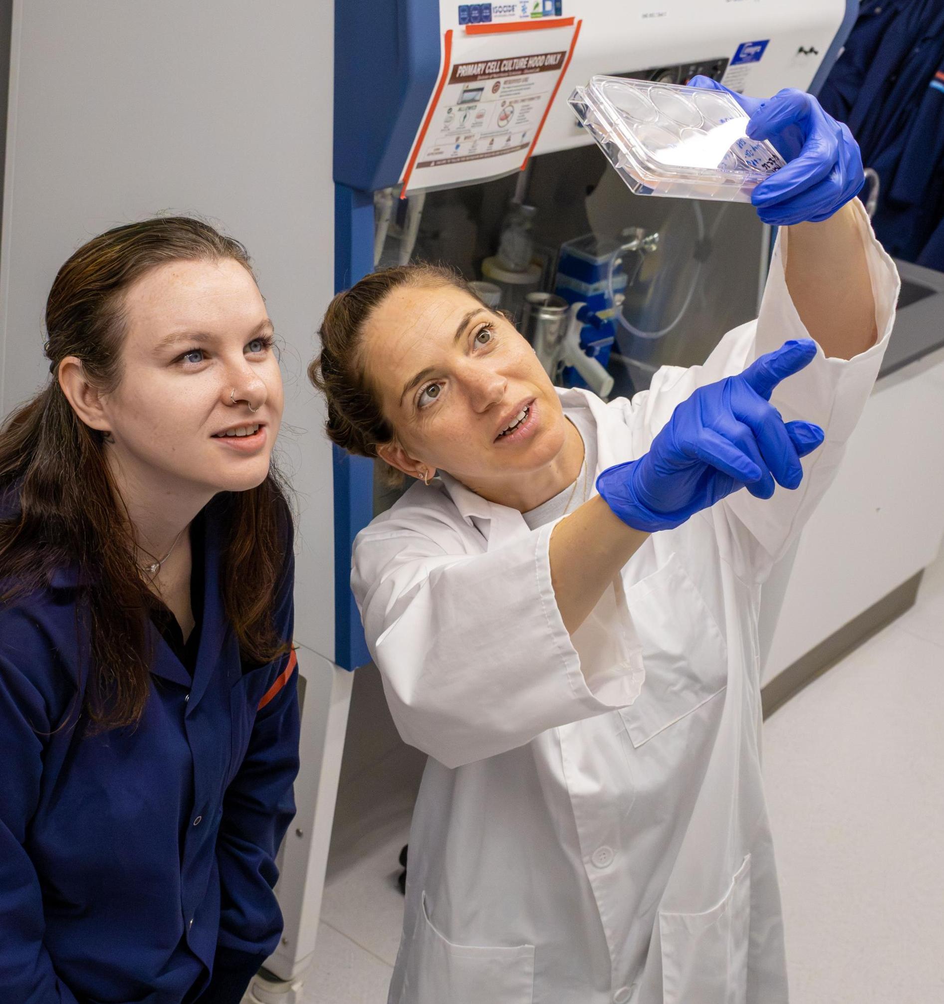 Prof. Yarden Golan shows students a lab sample