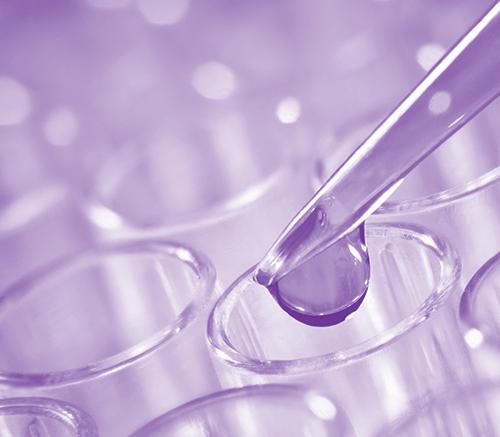 macros image of a water dropper