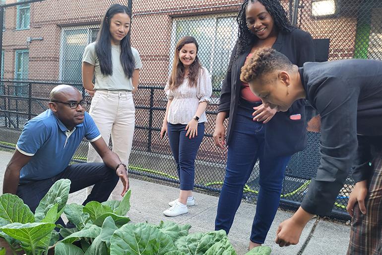 faculty, students and staff visit an urban garden