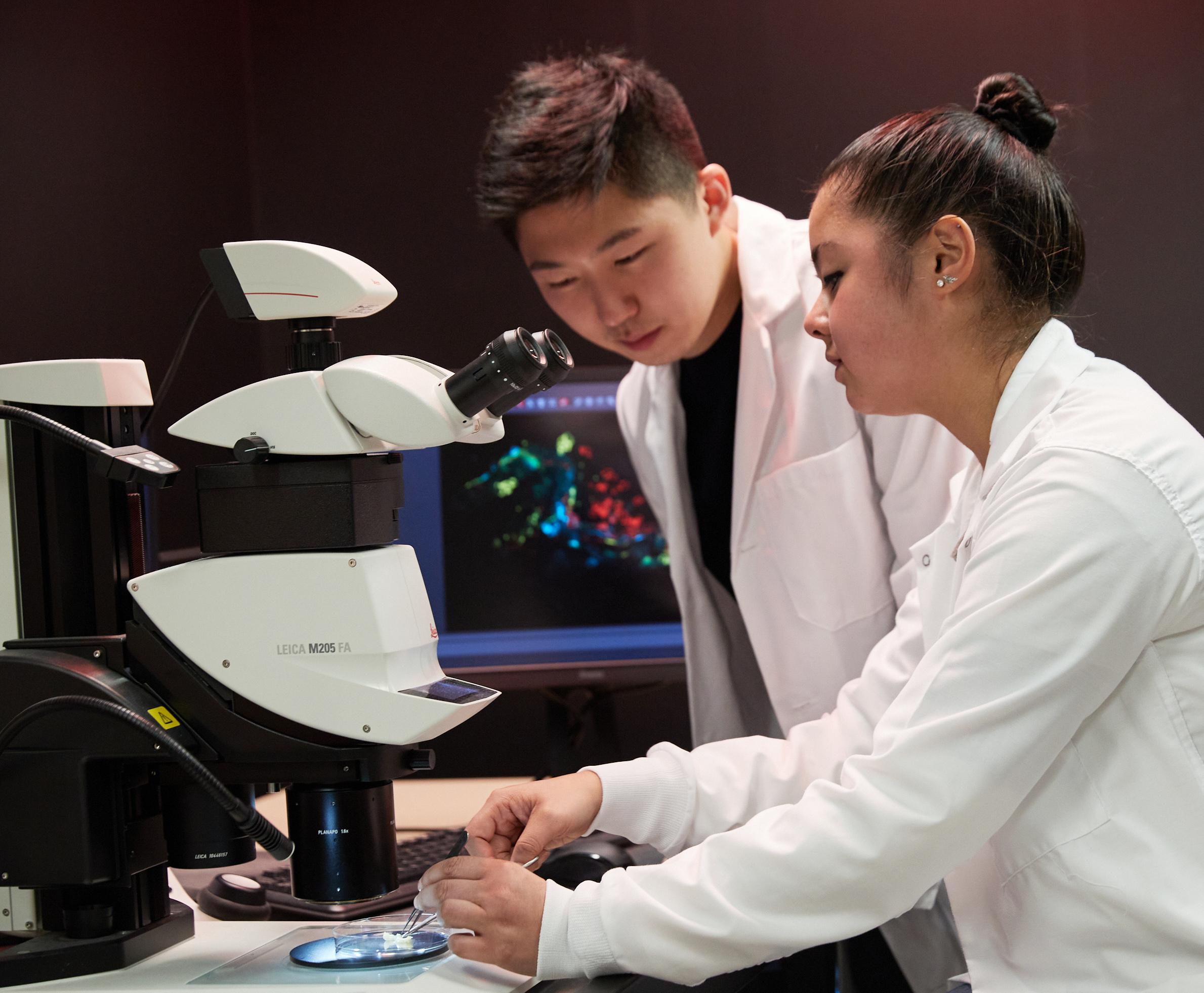 two students in white lab coats look at a specimen under a microscope