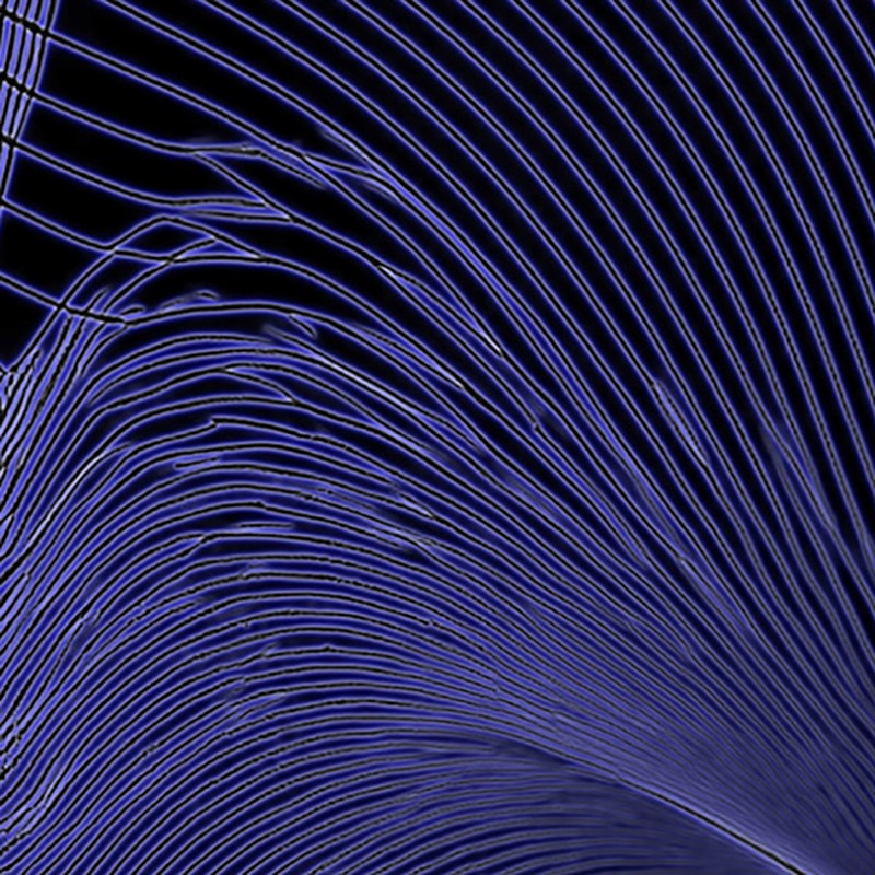 Blue swirls on a black background