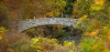 Sackett Foot Bridge at Beebe Lake